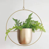 Creative Hanging Indoor Planter