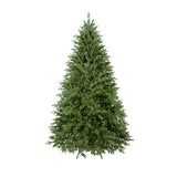 Fir Christmas Tree