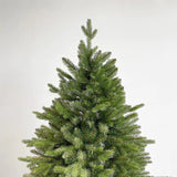 Fir Christmas Tree